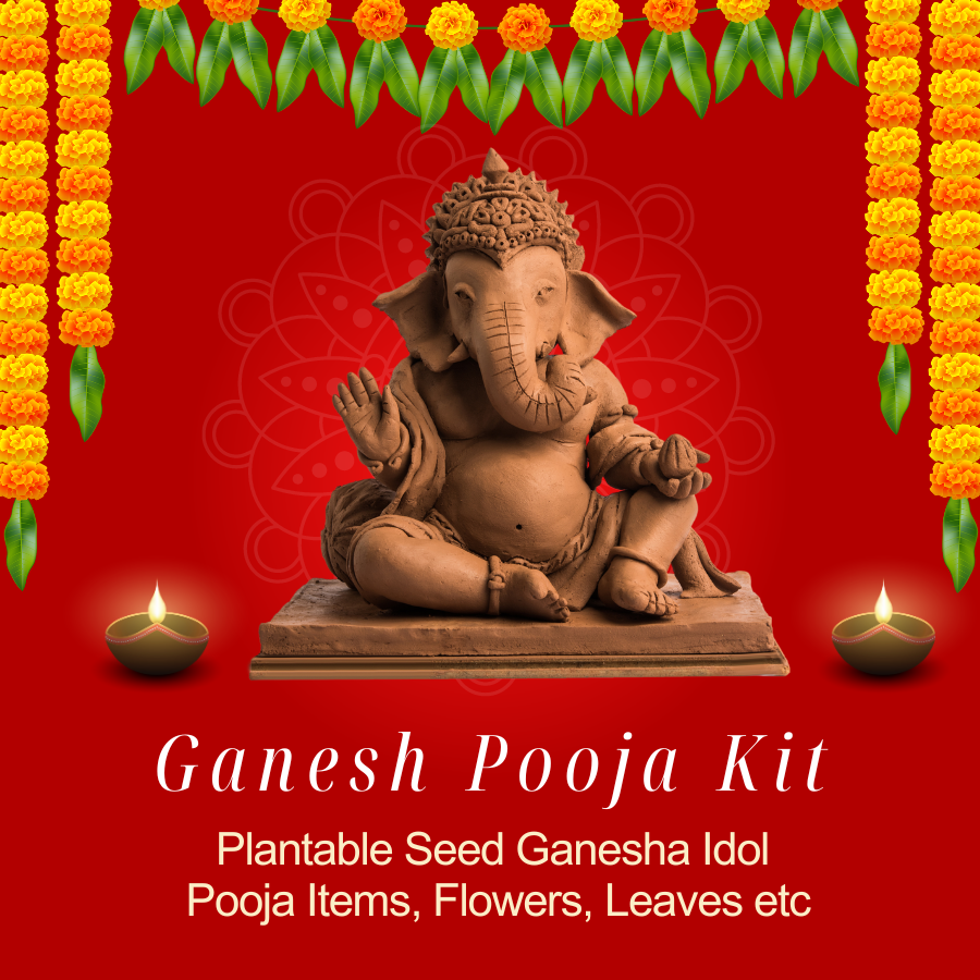Ganesh Pooja Kit - ELEPHANT