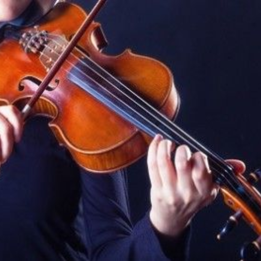 Violin Player