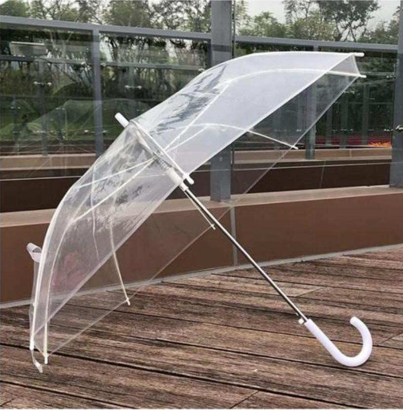 Transparent Umbrella