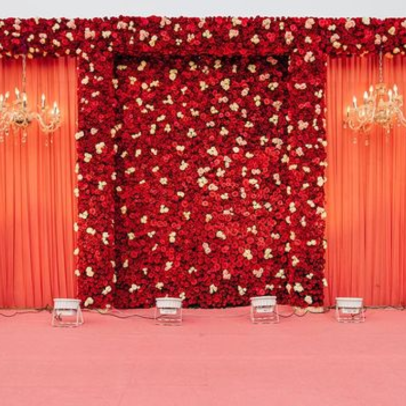 Sangeet Ceremony(Simple Decoration)
